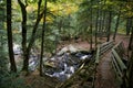 High angle view of the wood bridge in the autumn forest