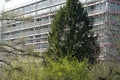 High apartment house in construction, rough building covered by scaffolding and protective net. Lateral view of the structure Royalty Free Stock Photo