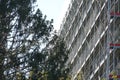 High apartment house in construction, rough building covered by scaffolding and protective net. Lateral view with a tree Royalty Free Stock Photo