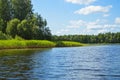 High aquatic green natural beautiful plants bushes grass reeds against the backdrop of the river bank and blue sky Royalty Free Stock Photo