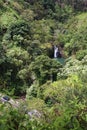 High atop a cliff, overlooking a rainforest, Hana Highway and Puohokamoa Falls in Haiku, Maui, Hawaii Royalty Free Stock Photo