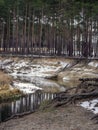 The high bank of the river in winter. Royalty Free Stock Photo