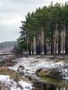 The high bank of the river in winter. Royalty Free Stock Photo