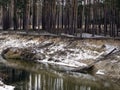 The high bank of the river in winter. Royalty Free Stock Photo