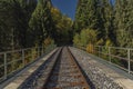 High bridge over valley in color autumn morning in national park Sumava