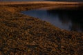 High brown rounded mound of pebble and dark smooth water of lake with black reflection, closeup. Abstract nature background.