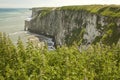 High chalk cliffs,Bempton,Yorkshire, England.