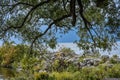 Fall Scenery at High Cliff State Park. Sherwood, WI Royalty Free Stock Photo