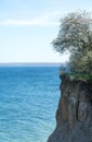 High coast cliff at the Baltic Sea, Luebeck Travemuende