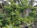 High concrete wall barrier from trespass into property