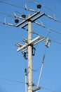 High constrast electric pole in blue sky