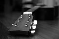 High contrast Acoustic guitar head in black and white