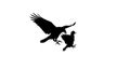 Dynamic Crow Silhouettes in Confrontation on White Background Royalty Free Stock Photo