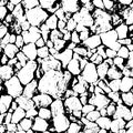 High Contrast Black and White Rock Texture Royalty Free Stock Photo