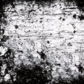 Black and White Grunge Distress Texture Royalty Free Stock Photo