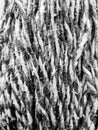 High contrast detail of yarn from a traditional mop to clean floors