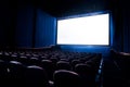 High contrast image of movie theater screen