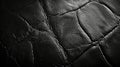 High-Contrast Luxurious Black Leather Texture Royalty Free Stock Photo