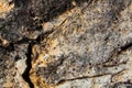 High contrast marbled stone texture