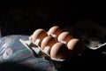 High contrast picture. Set of six brown fresh eggs in grey paper container. Rembrandt natural sunlight. Healthy protein Royalty Free Stock Photo