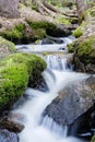 Killpecker Creek in the Laramie Mountains of Northern Colorado. Royalty Free Stock Photo