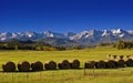 High Country Harvest