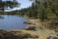 High Country Woods and Lake of Arizona