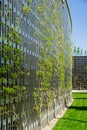 High decorative gray - blue perforated metal wall with vertical elements and chinese wisteria in Public landscape city park Royalty Free Stock Photo