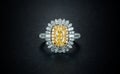 Jeweller high definition black Diamonds Ring