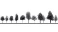 High definition collection Tree isolated on a white background Royalty Free Stock Photo