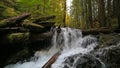 High definition movie of impressive Panther Creek Falls with plunging water audio sounds in Washington State 1080p hd