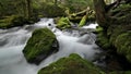 High Definition Movie of Long Exposure Water Flowing at Panther Creek Falls in Skamania County Washington 1080p