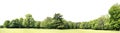 High definition Treeline isolated on a white background Royalty Free Stock Photo