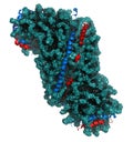 High density lipoprotein (HDL). Carrier of \