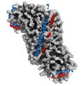 High density lipoprotein (HDL). Carrier of \