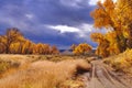 High Desert Autumn