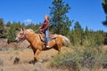 High Desert Riding