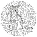 High detail patterned cat. Royalty Free Stock Photo