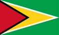 High detailed flag of Guyana. National Guyana flag. South America. 3D illustration Royalty Free Stock Photo
