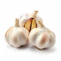 High Detailed Garlic Bulbs On White Background