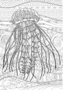 High detailed jellyfish for coloring book for adults