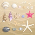 High detailed seashell set