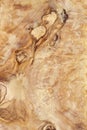 High detailed texture of olive wood board Royalty Free Stock Photo