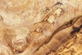 High detailed texture of olive wood board Royalty Free Stock Photo