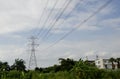 High electrical transmission line and pylon powerful station with tree and blue sky Royalty Free Stock Photo