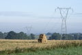 High electricity poles in rural scenics. Royalty Free Stock Photo