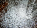 High energy bubbles at the base of a waterfall in a woodland stream