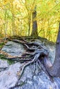 High Falls Gorge - Ausable River Royalty Free Stock Photo