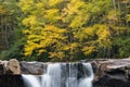 High Falls on Shavers Fork surrounded by greenery at daytime in West Virginia in the US Royalty Free Stock Photo