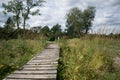 High Fens, Hautes Fagnes, at the eifel national park Royalty Free Stock Photo